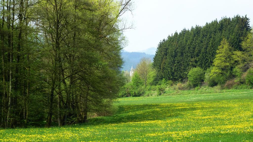 Haus Elpe Naehe Meschede Winterberg Vila Olsberg Quarto foto